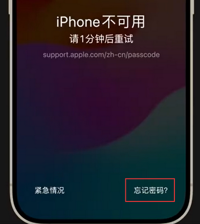 汶上苹果手机密码维修分享iPhone忘记了刚设置的密码 